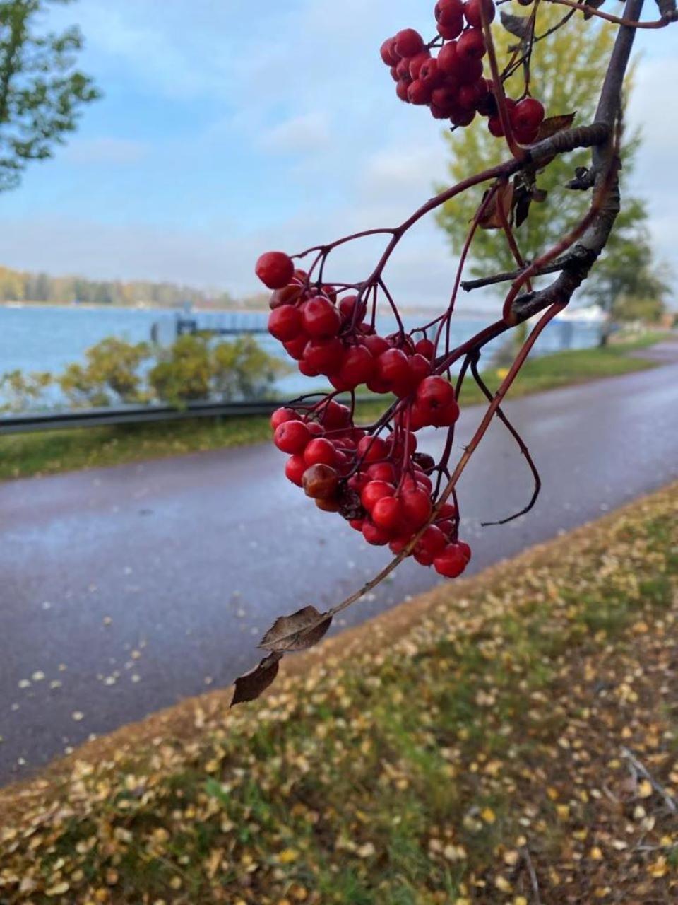 Trivsam Studio Mariehamn Bagian luar foto